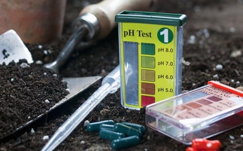 garden soil-pHtest