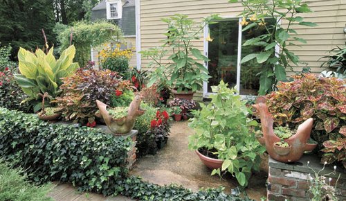 large-pots-garden