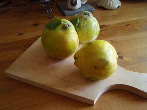 quinces-fruit-yellow