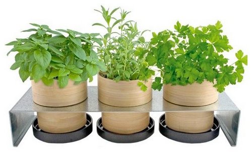 pot-bamboo-holders