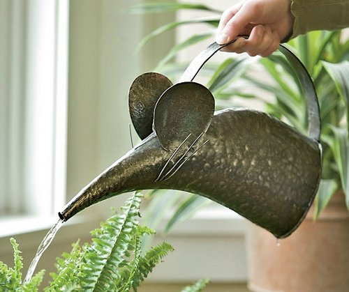 plants-watering-can