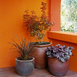plants-containers