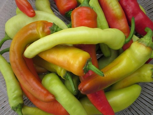 hungarian hot wax peppers