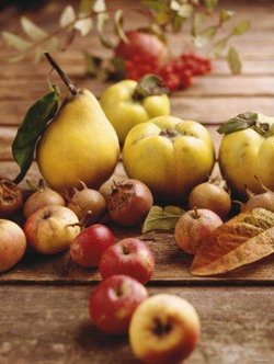 fall-fruits