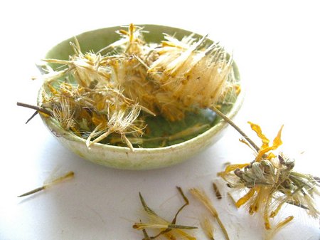 dried-arnica-flowers