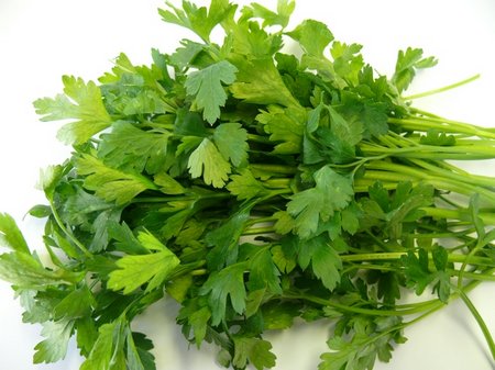 parsley-italian