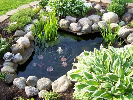 how to choose your pond color