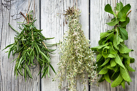 kitchen-herbs