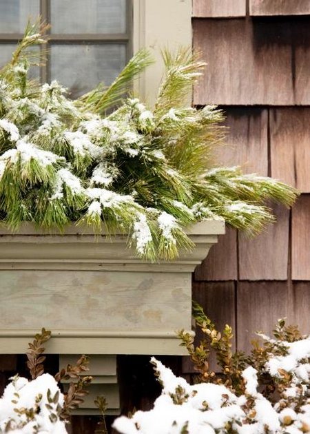 planter-box-winter