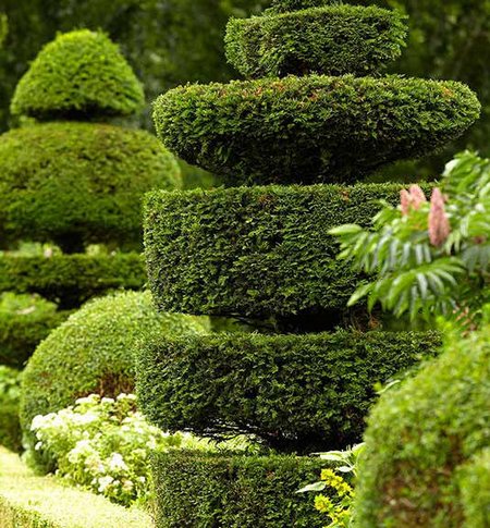 topiary2