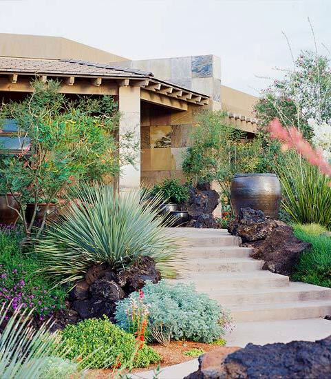 Desert Gardening: Create Your Summer Garden In The Desert